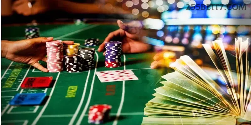 App 255bet para Android e iOS - download grátis